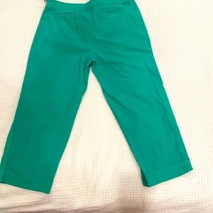 FRESH PRODUCE Large NWT Safari Capri Palm Green
